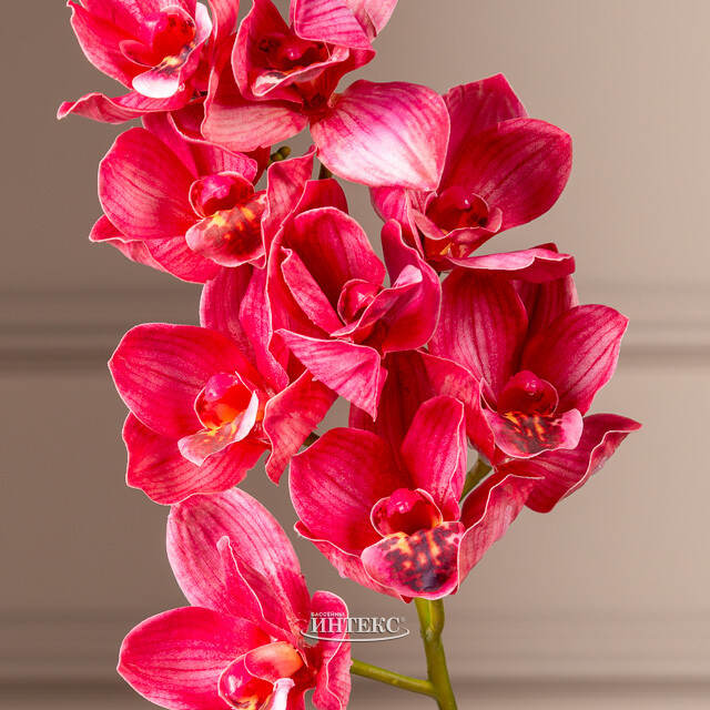 Искусственный цветок Орхидея Queen Victoria 71 см Kaemingk