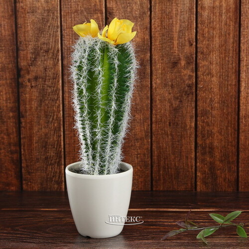Искусственное растение в горшке Кактус Fleur Jaune 24 см Kaemingk
