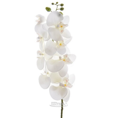Искусственный цветок Орхидея White Princesse 77 см Kaemingk