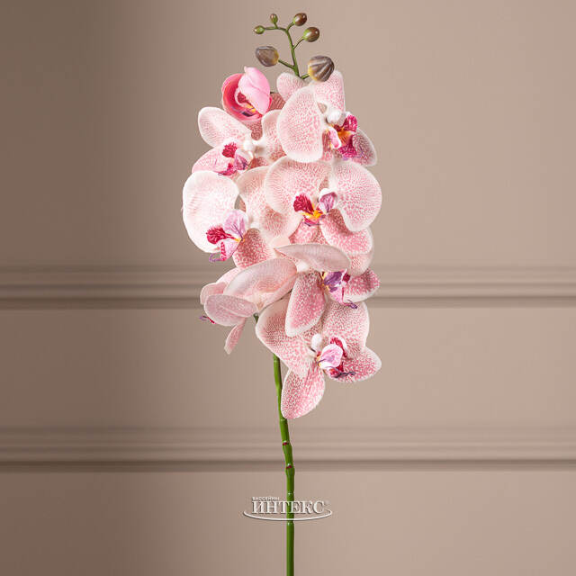 Искусственный цветок Орхидея Jacqueline 77 см Kaemingk