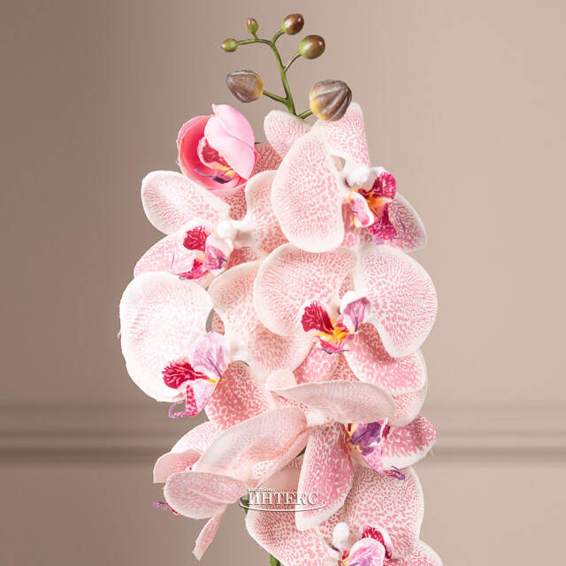 Искусственный цветок Орхидея Jacqueline 77 см Kaemingk