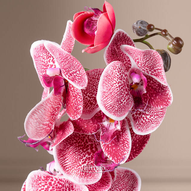 Искусственный цветок Орхидея Aphrodite 77 см Kaemingk