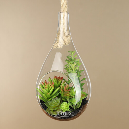 Декоративный подвесной флорариум Morrigan: Седум 24 см Kaemingk