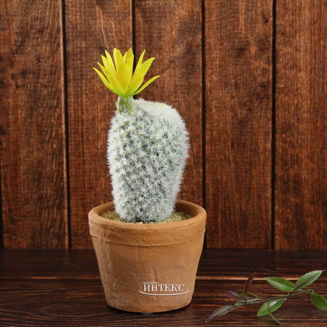 Искусственный кактус в горшке Цереус Солнечный Цветок 19 см Kaemingk