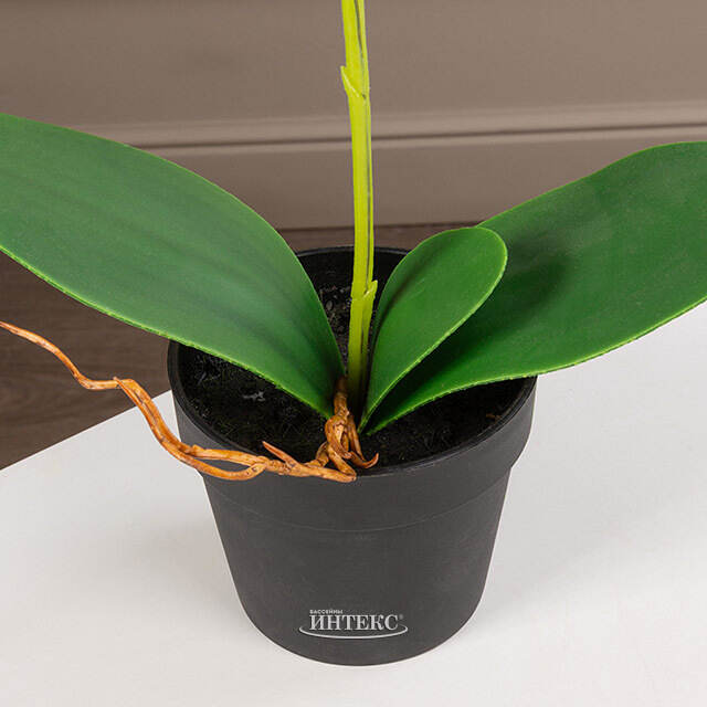 Искусственная орхидея в горшке Доминика 40 см Kaemingk