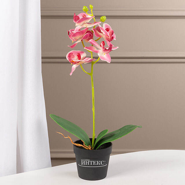 Искусственная орхидея в горшке Доминика 40 см Kaemingk