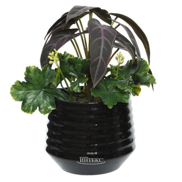 Композиция из искусственных цветов Алоказия Пурпурная 25 см Kaemingk (Кейминг)