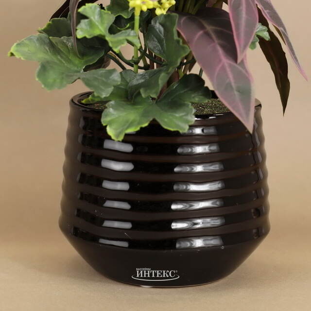 Композиция из искусственных цветов Алоказия Пурпурная 25 см Kaemingk (Кейминг)