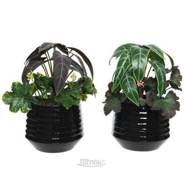 Композиция из искусственных цветов Алоказия Пурпурная 25 см Kaemingk (Кейминг)