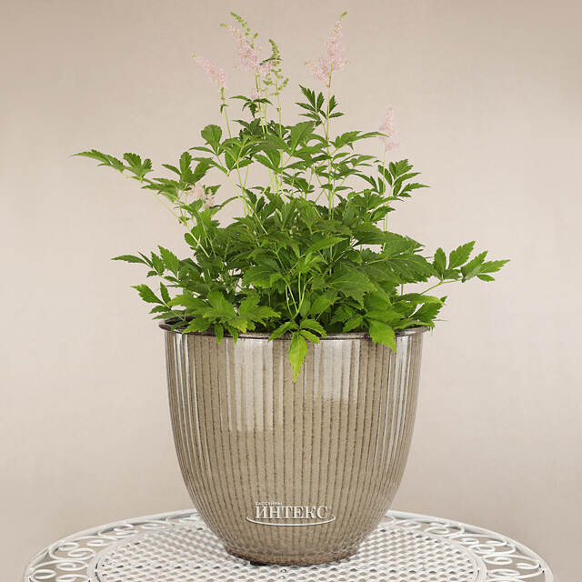 Декоративное кашпо Кастория 32*27 см, металл Kaemingk