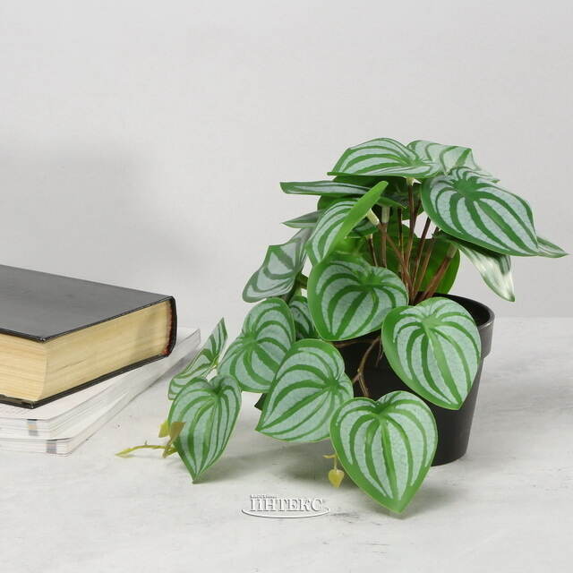 Искусственное растение в горшке Roderondo 18 см Kaemingk