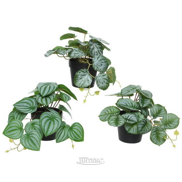 Искусственное растение в горшке Roderondo 18 см Kaemingk