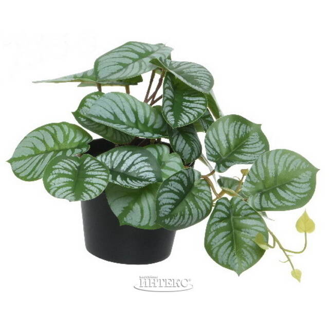 Искусственное растение в горшке Cefrado 18 см Kaemingk