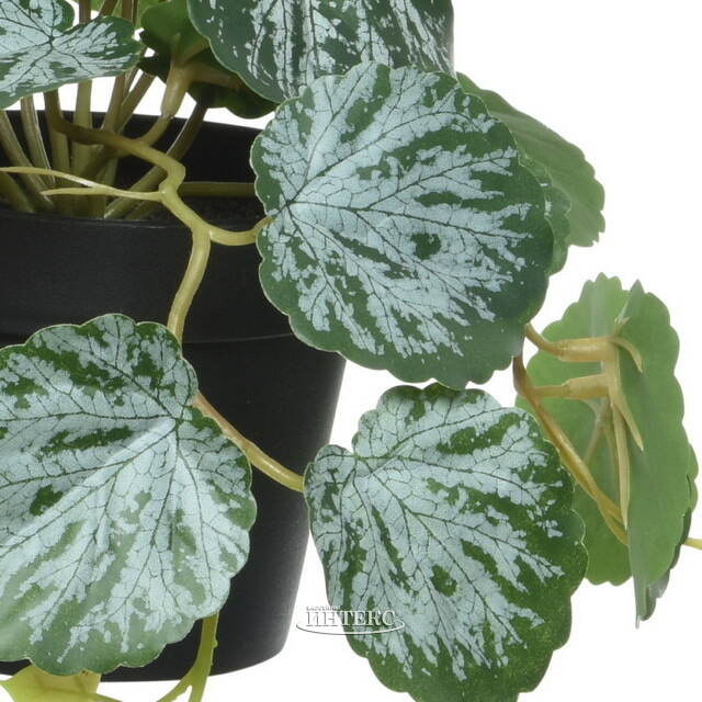 Искусственное растение в горшке Viafroya 18 см Kaemingk