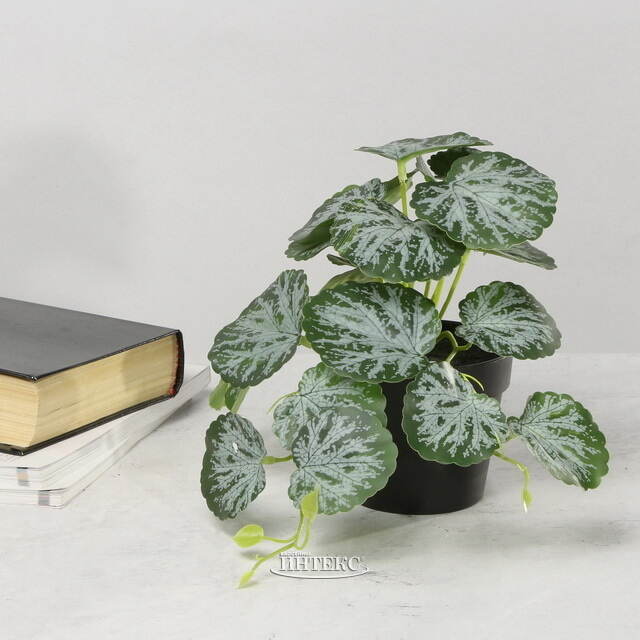 Искусственное растение в горшке Viafroya 18 см Kaemingk