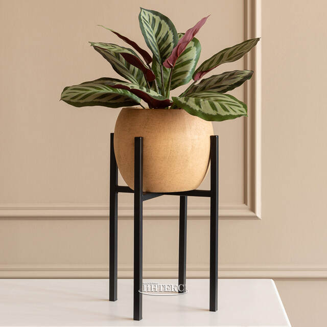 Искусственное растение в горшке Калатея 38 см Kaemingk (Кейминг)