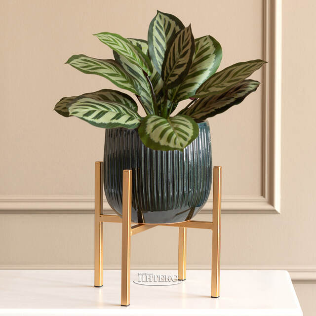 Искусственное растение в горшке Калатея 38 см Kaemingk (Кейминг)