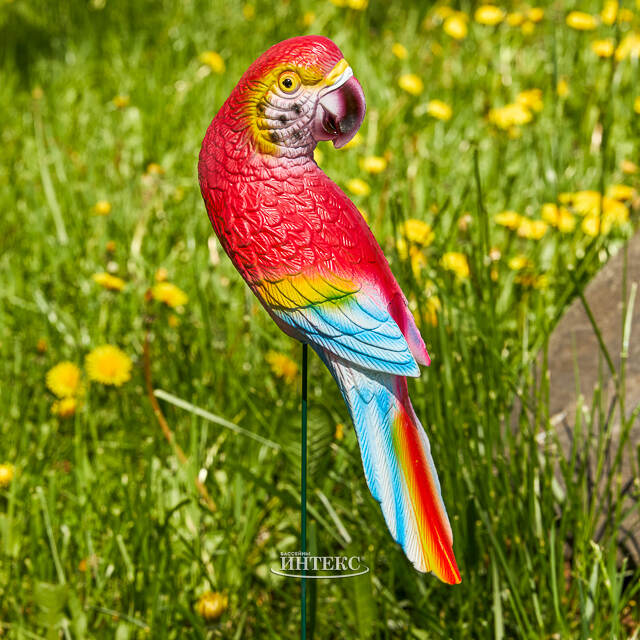Садовый штекер Попугай Глория - Радуга Эмоций 74 см Kaemingk
