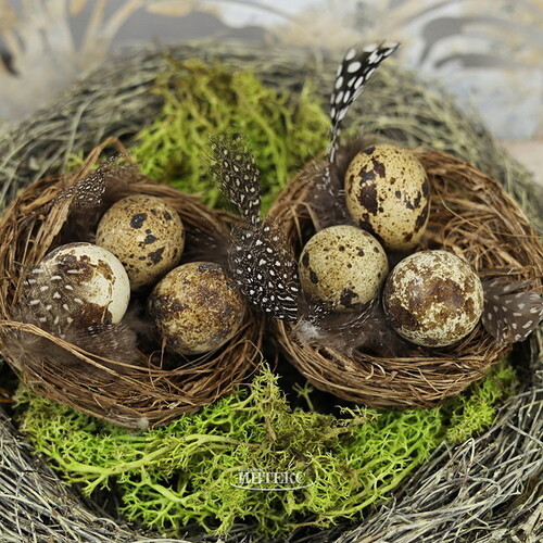 Декоративное украшение Пасхальное Гнездо Птички Аннис 8 см, 2 шт Kaemingk