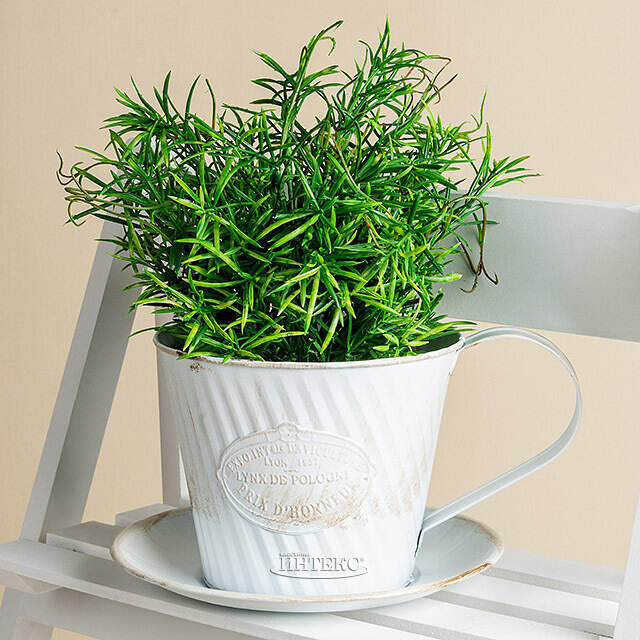 Декоративное кашпо для цветов Чашка Весенний Прованс 23*20 см, металл Kaemingk