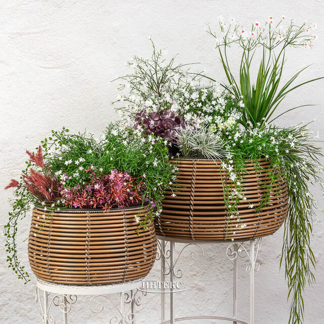 Искусственное растение в горшке Акорус - Bramhall 27 см Summer Deco