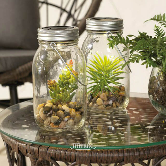 Подвесной светильник-банка на солнечной батарее Solar Флоранс с Седумом 18 см, IP44 Kaemingk