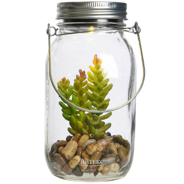 Подвесной светильник-банка на солнечной батарее Solar Флоранс с Седумом 18 см, IP44 Kaemingk