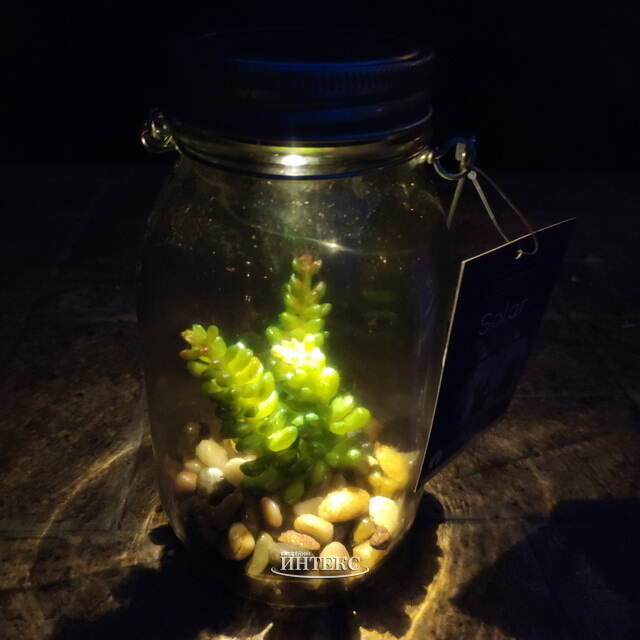 Подвесной светильник-банка на солнечной батарее Solar Флоранс с Седумом 18 см, IP44 Kaemingk