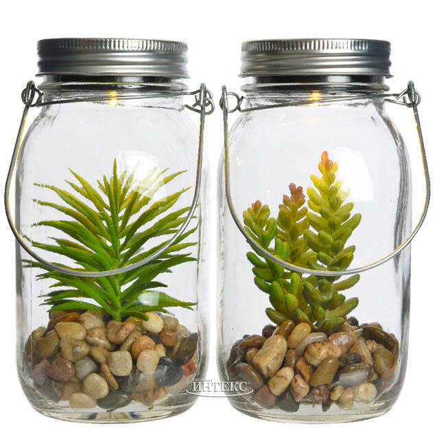 Подвесной светильник-банка на солнечной батарее Solar Флоранс с Седумом 18 см, IP44 Kaemingk