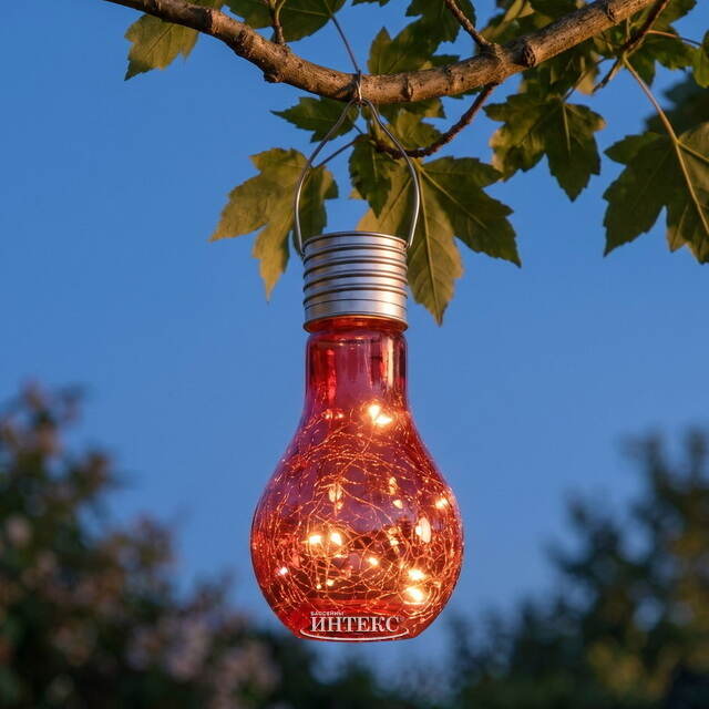 Подвесной солнечный светильник Лампочка Лендлер 17 см с теплыми белыми LED, коралловый, IP44 Kaemingk (Кейминг)