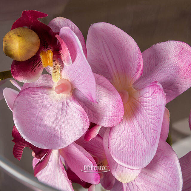 Искусственный цветок в кашпо Орхидея Королевская 50 см розовая Edelman