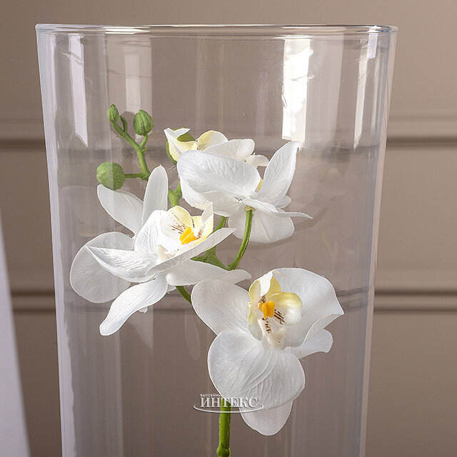 Искусственный цветок в кашпо Королевская 50 см белая Edelman (Эдельман)