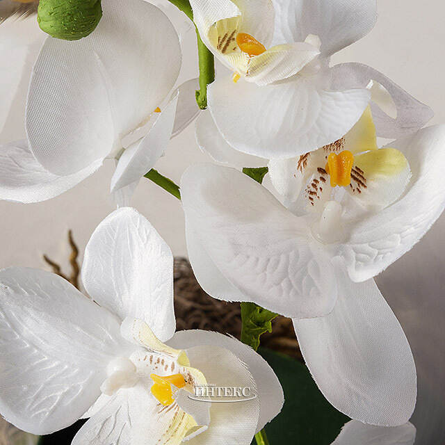 Искусственный цветок в кашпо Королевская 50 см белая Edelman (Эдельман)