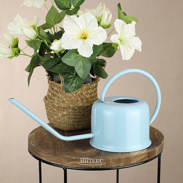 Лейка для комнатных растений Amalia 1 л голубая Koopman