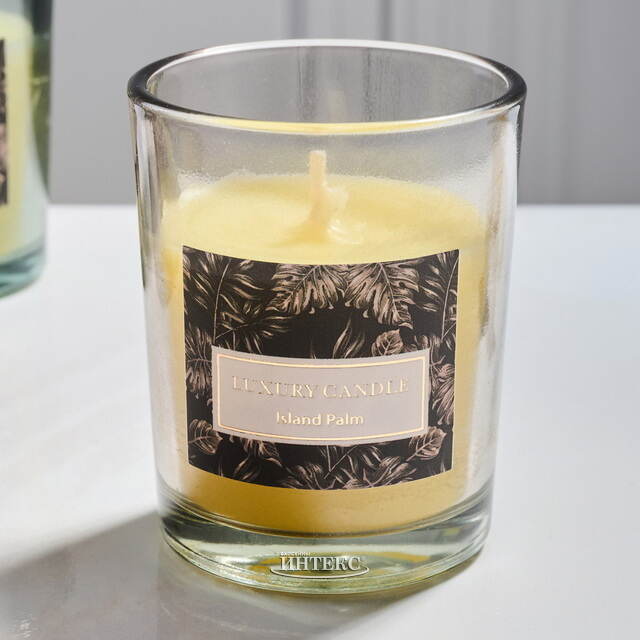 Набор ароматических свечей в стакане Finneoly - Island Palm 6 см, 4 шт, в подарочной упаковке Koopman
