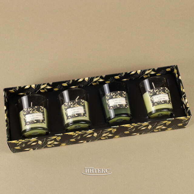 Набор ароматических свечей в стакане Finneoly - Jungle Safari 6 см, 4 шт, в подарочной упаковке Koopman