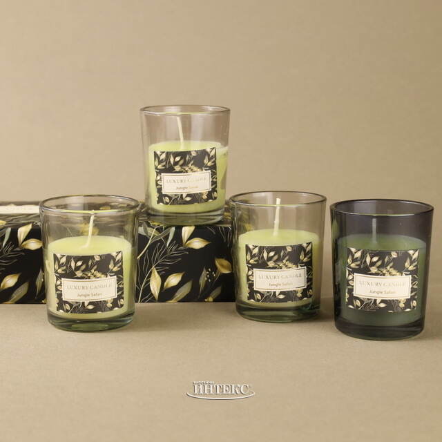Набор ароматических свечей в стакане Finneoly - Jungle Safari 6 см, 4 шт, в подарочной упаковке Koopman