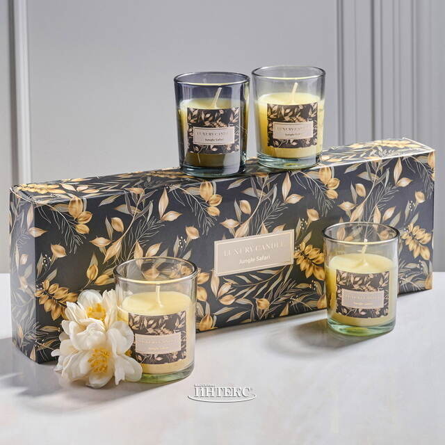 Набор ароматических свечей в стакане Finneoly - Jungle Safari 6 см, 4 шт, в подарочной упаковке Koopman