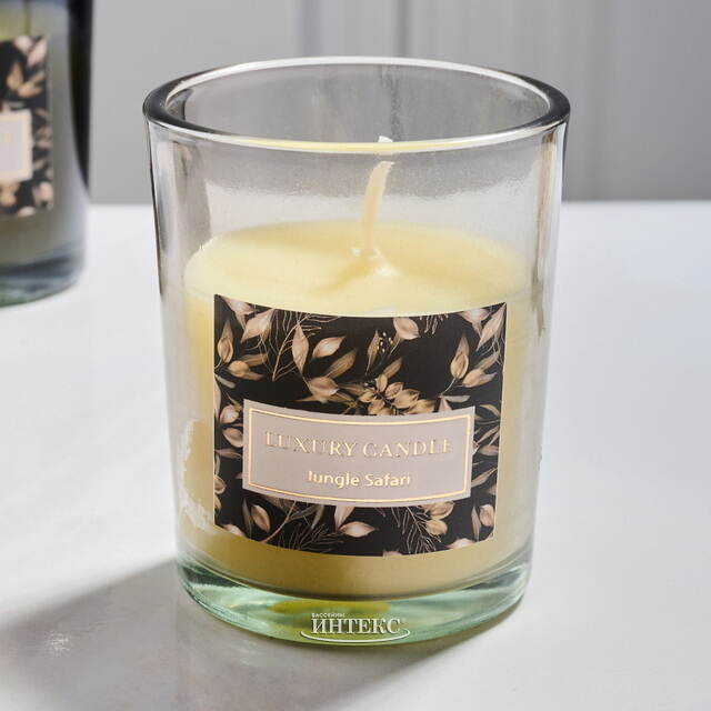 Набор ароматических свечей в стакане Finneoly - Jungle Safari 6 см, 4 шт, в подарочной упаковке Koopman