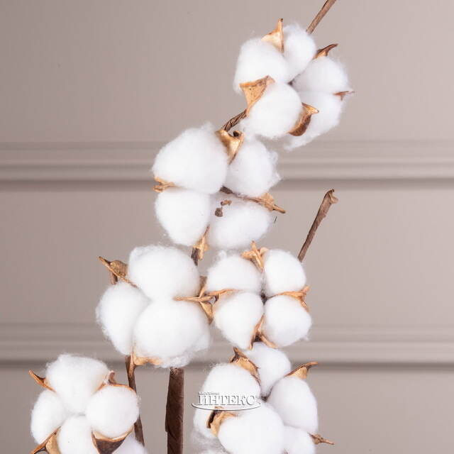 Декоративная ветка Хлопок 54 см Koopman