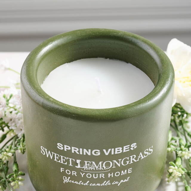 Ароматическая свеча в стакане Relaxation - Лемонграсс 8 см Koopman (Купман)