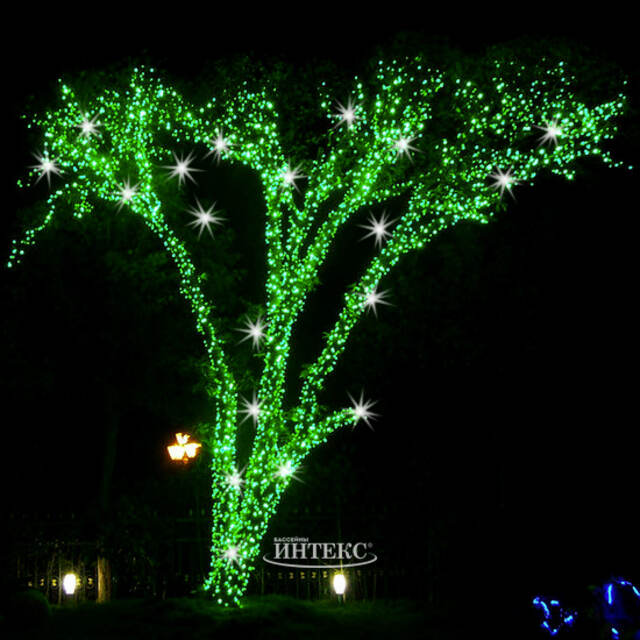 Гирлянды на дерево Клип Лайт Quality Light 100 м, 1000 зеленых LED ламп, с мерцанием, прозрачный ПВХ, IP44 BEAUTY LED