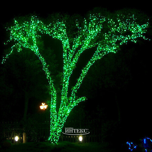 Клип Лайт - Спайдер Quality Light 60 м, 600 зеленых LED ламп, с мерцанием, прозрачный ПВХ, IP44 BEAUTY LED