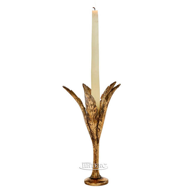 Декоративный подсвечник Кариота 15 см Goodwill (Гудвилл)