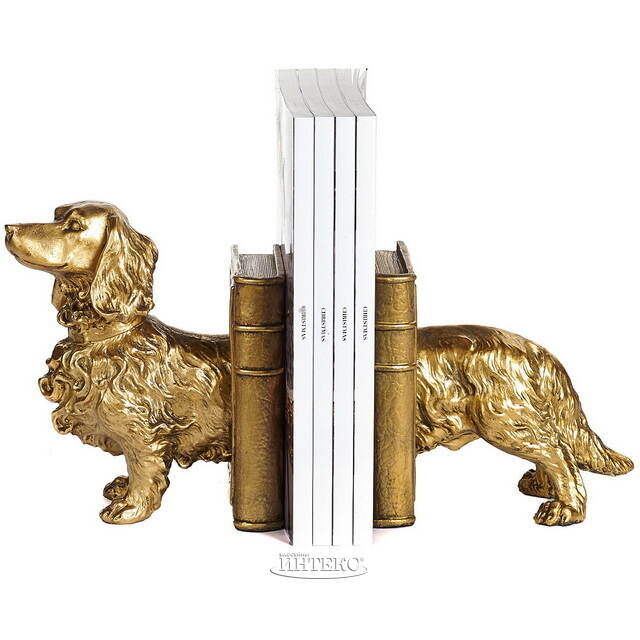 Декоративный держатель для книг Golden Dachshund 37 см Goodwill