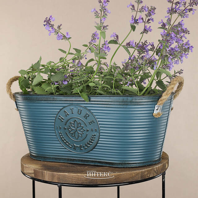 Металлическое кашпо для цветов Lotus 35*19 см темно-синее купить в ...