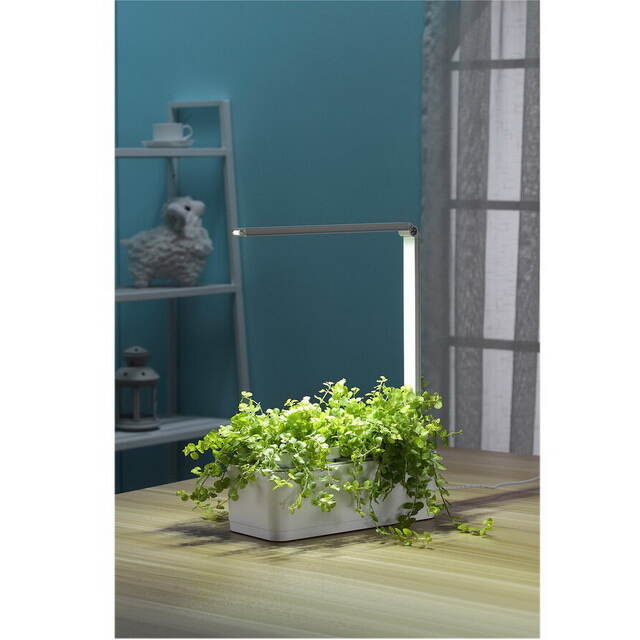 Умный Смарт-сад iGarden LED с подсветкой 39*29 см Назад к истокам