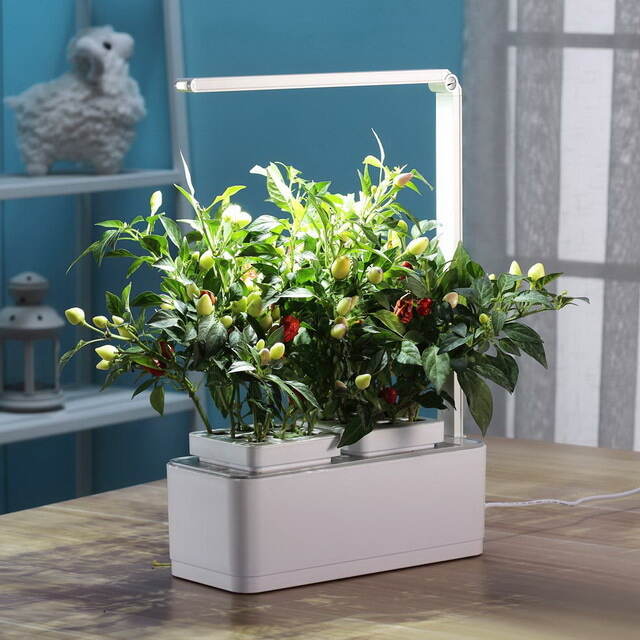 Умный Смарт-сад iGarden LED с подсветкой 39*29 см Назад к истокам