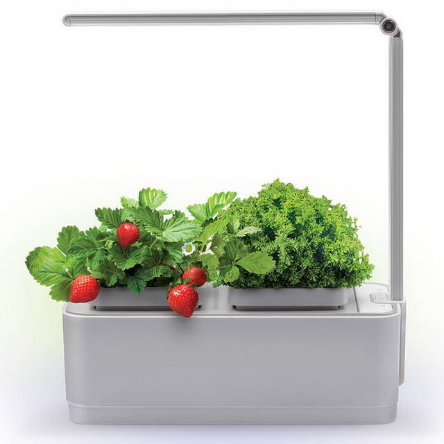Умный Смарт-сад iGarden LED с подсветкой 39*29 см Назад к истокам