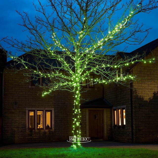 Гирлянды на дерево Клип Лайт Quality Light 100 м, 1000 зеленых LED ламп, с мерцанием, прозрачный ПВХ, IP44 BEAUTY LED